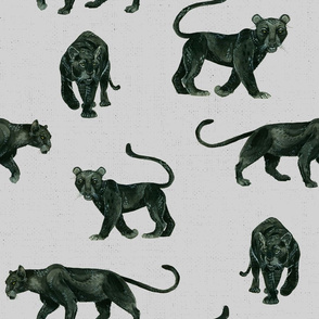 Black Panthers on Textured Light Grey 