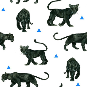 Black Panthers with Blue Triangles