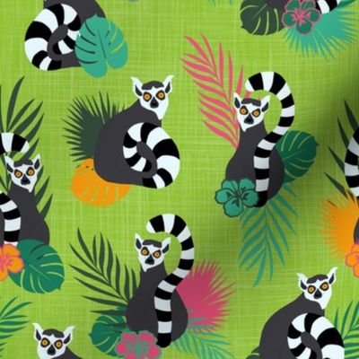 Tropical Lemurs - Lime