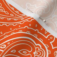 Bandana Paisley White on Orange