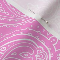 Bandana Paisley White on Pink