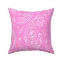 Bandana Paisley White on Pink