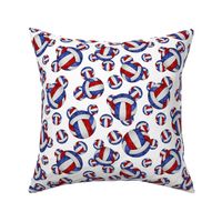 Red white and blue volleyballs on white - small