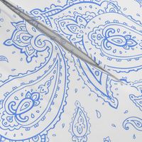 Bandana Paisley Denim on White