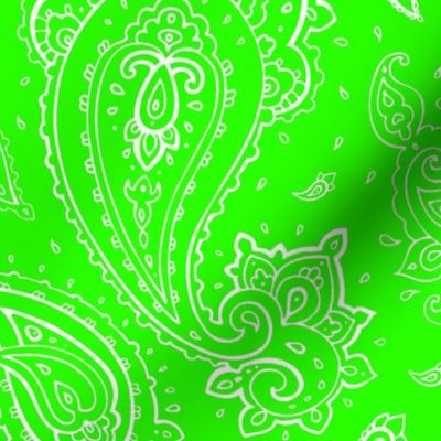 Bandana Paisley White on Neon Green