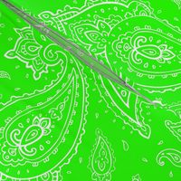 Bandana Paisley White on Neon Green