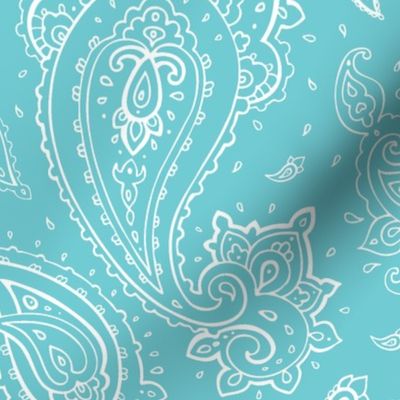 Bandana Paisley White on Turquoise