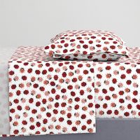 All Over Modern Ladybugs - White background