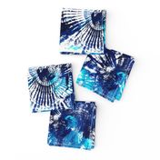 Spider Seashell Shibori