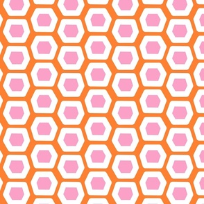 Pillow Hex in Tangerine/Pink