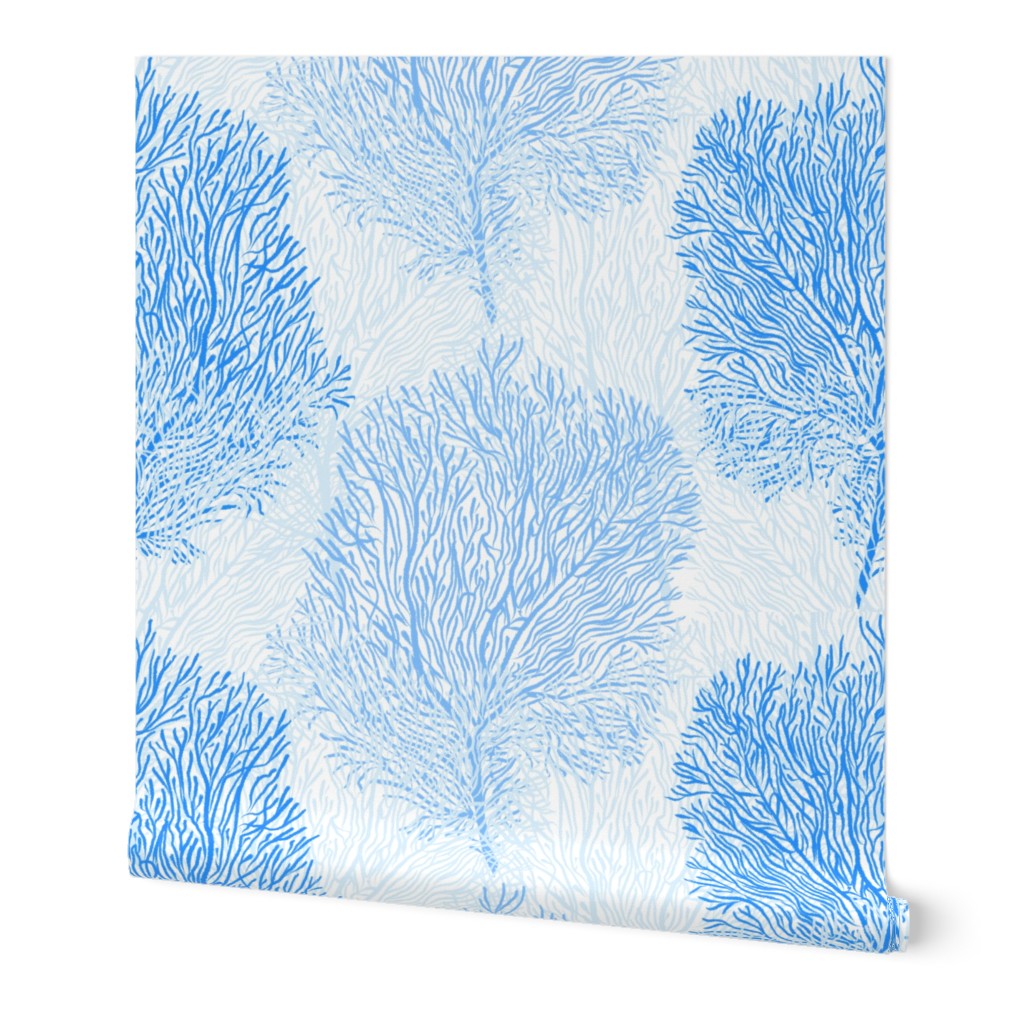 Fan Corals (azure)