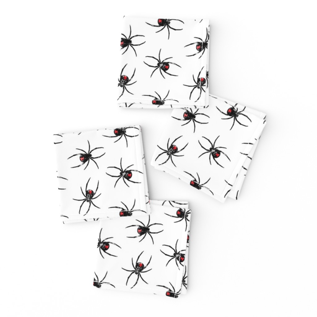 Black Widow Spiders  - LAD19