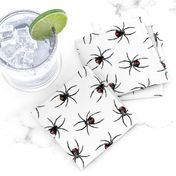 Black Widow Spiders  - LAD19