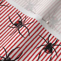 Black Widow Spiders - red stripes - LAD19