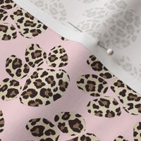 Paws leopard blush