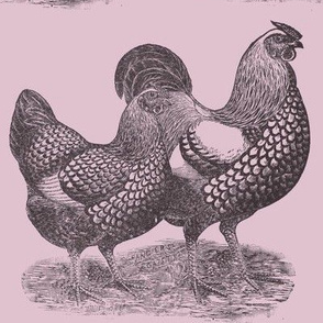 Victorian Etching Wyandotte Chicken and Rooster