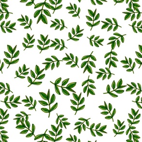 Basil herb design