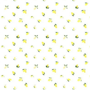 Baby lemons • tiny scale • watercolor citrus 