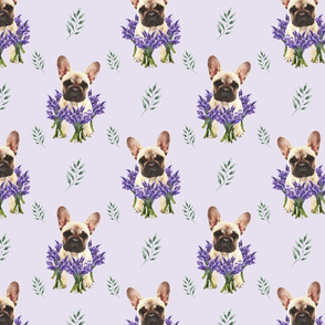 Normal scale • French bulldog and lavender