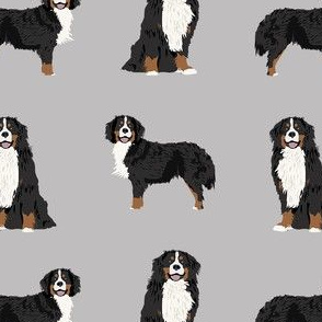 bernese mountain dog fabric - dog fabric, bmd, mountain dog, bernese dog fabric, grey