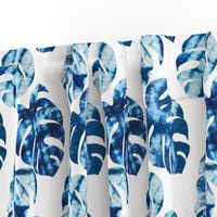 shibori monstera