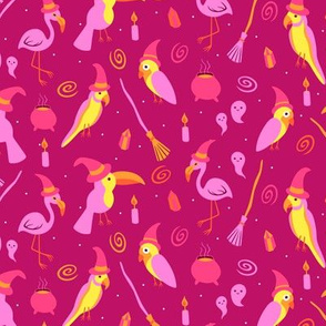 Witch and Wizard Birds Pink