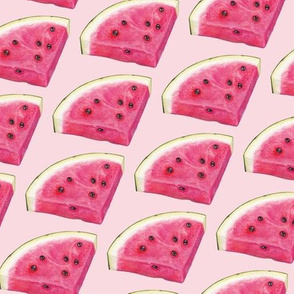 Watermelon 1 - Pink