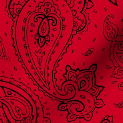 Bandana Paisley Black on Red