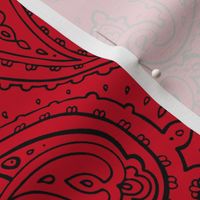 Bandana Paisley Black on Red