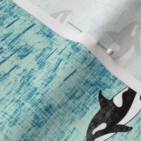 pacific orca blue