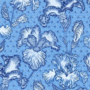 Iris Shibori (chinz blue)