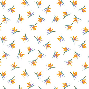 Bird of Paradise scatter-small