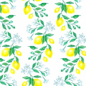 Spring lemon garden