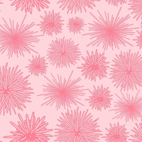 Hawaiian Tide Pool-Urchins Pink Pink