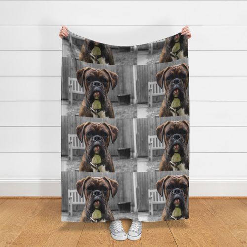 AD-B23P Brindle Boxer Dog Picture Placemats in Gift Box 