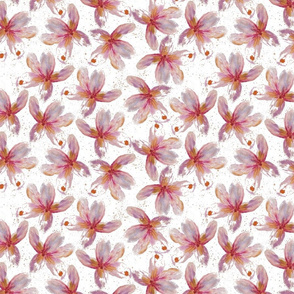 pink frangipani flowers by rysunki_malunki