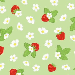 Strawberry blossom