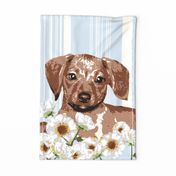 Dappled Puppy Tea Towel Dachshund with Stripes