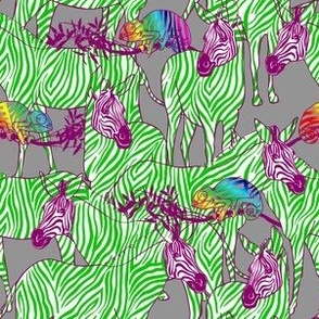 Zebras and rainbow chameleons on grey background