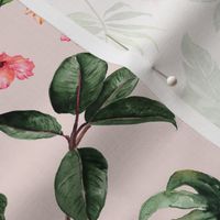 Tropical Hibiscus // Blush Gray