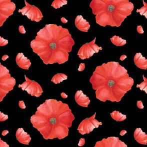 Red Poppies |Blooms on Black|Poppy Flower|Renee Davis