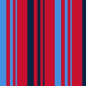 The Red the Blue the Navy and the Grayl 2-Color Graduated Stripes on Red