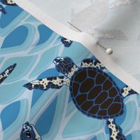 Sea Turtle Hatchlings on True Blue by ArtfulFreddy