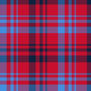 The Red the Blue the Navy and the Gray: Blue Navy and Red Plaid