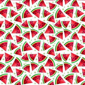 watermelon on white 