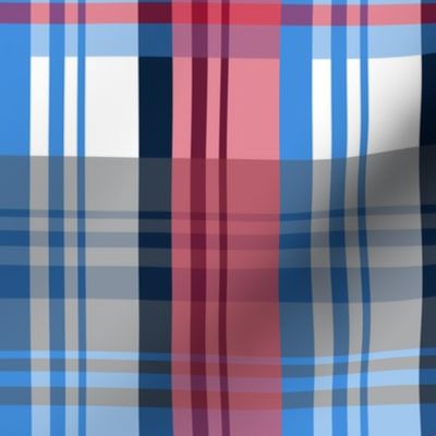 The Red the Blue the Navy and the Grays: Blue Navy Red and White Plaid