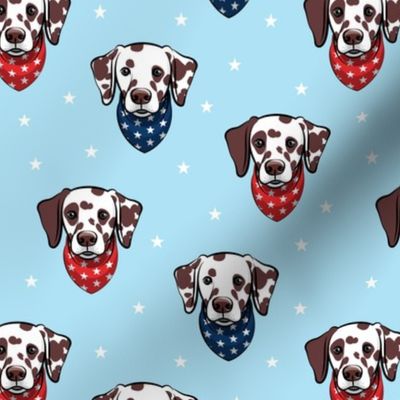 Dalmatian (brown spots) - patriotic - blue with stars - LAD19