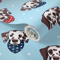 Dalmatian (brown spots) - patriotic - blue with stars - LAD19