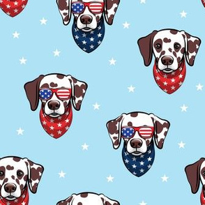 Dalmatian (brown spots) with sunnies - patriotic - blue with stars - LAD19