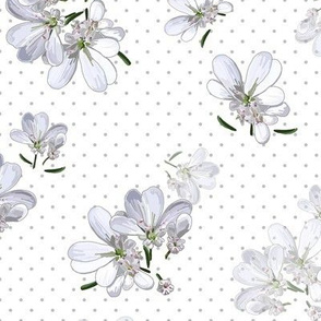 White Coriander Flowers  + Dots